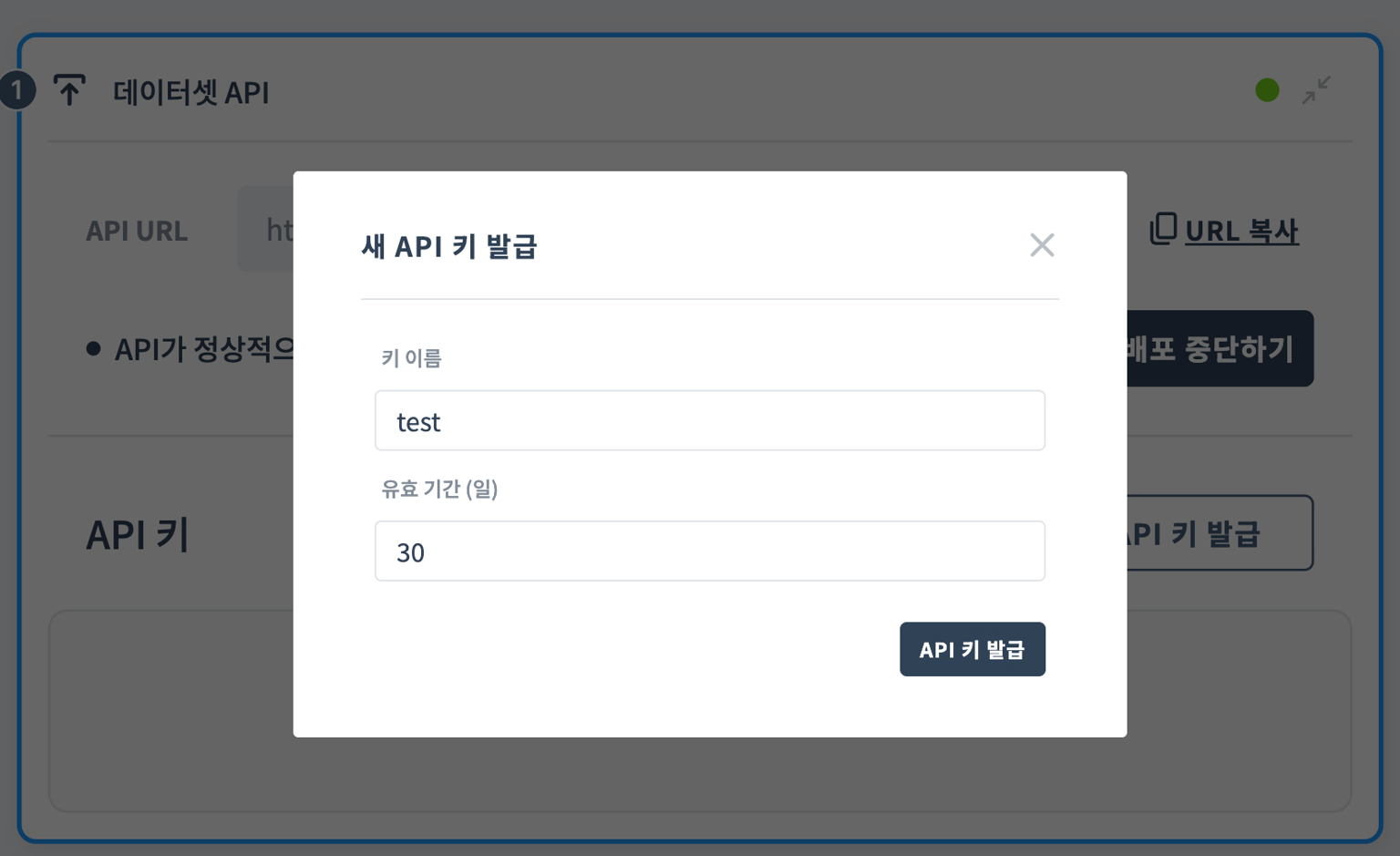 API 키 발급 화면