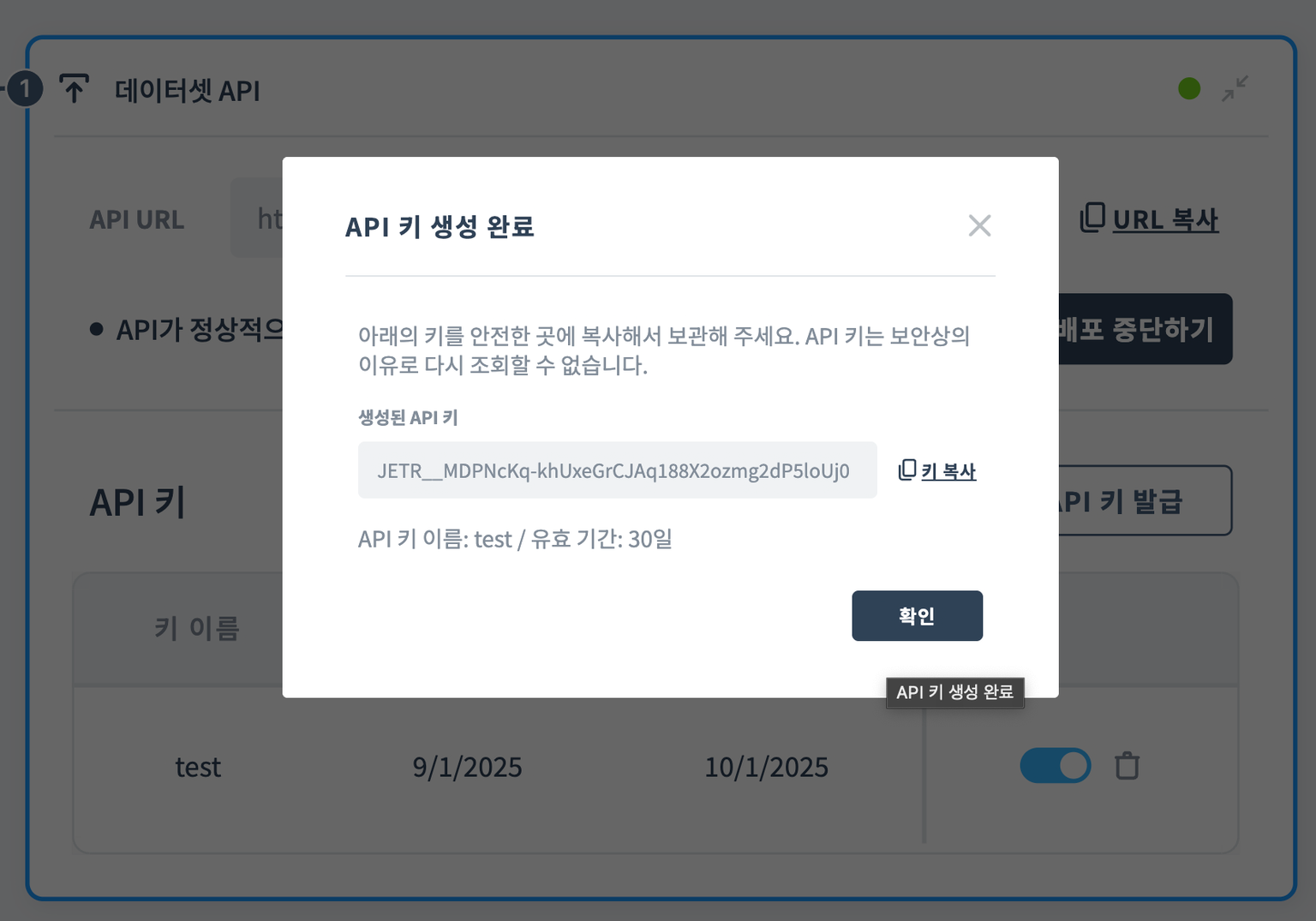 API 키 확인 화면